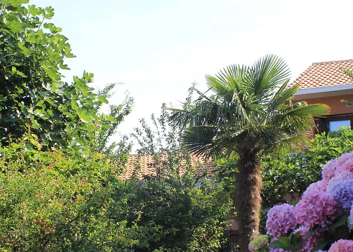 Marinko 3* זאדאר